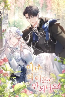 مانهوا خواندن مانهوا ?Darling, Why Can't We Divorce با زبان فارسی